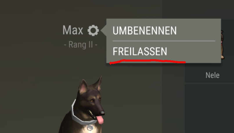 Hund freilassen